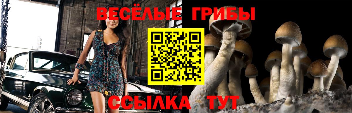 Нововоронеж  Галлюциногенные грибы ЛСД  Вход с VPN  Псилоцибиновые грибы мицелий 